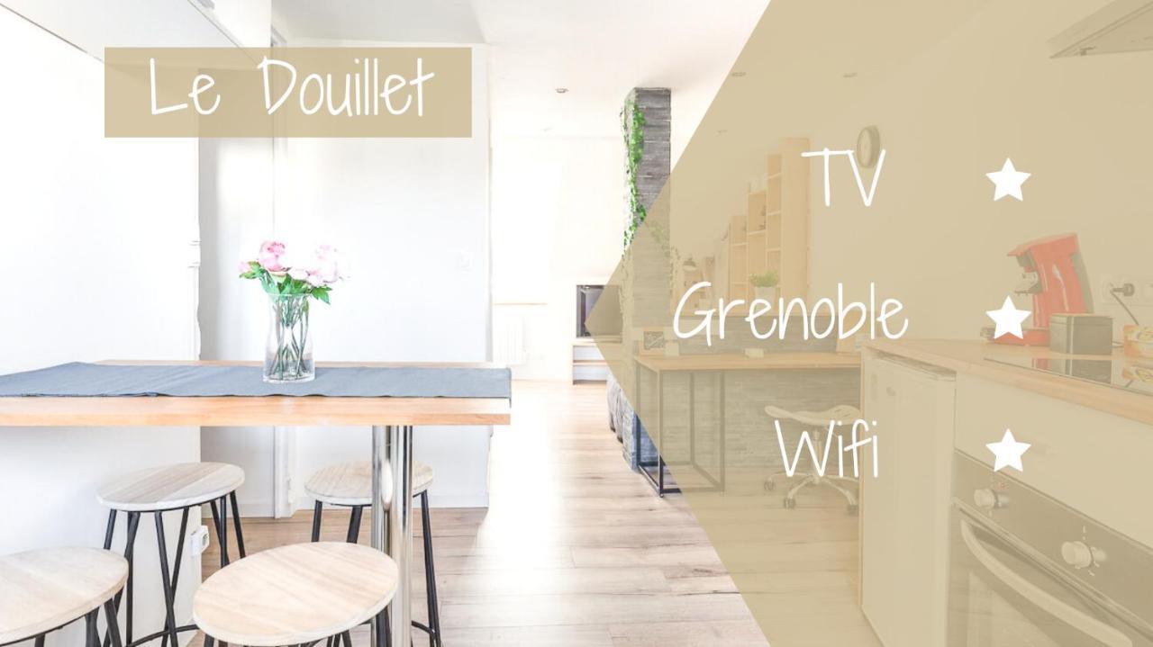 Le Douillet - Appartement Cosy - Grenoble Dış mekan fotoğraf